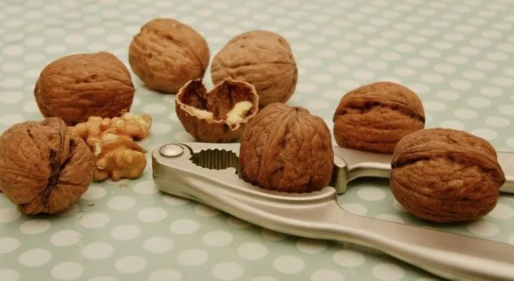 Un dieta rica en nueces mejora la fertilidad de los hombres; come más nueves y tendrás más espermatozoides