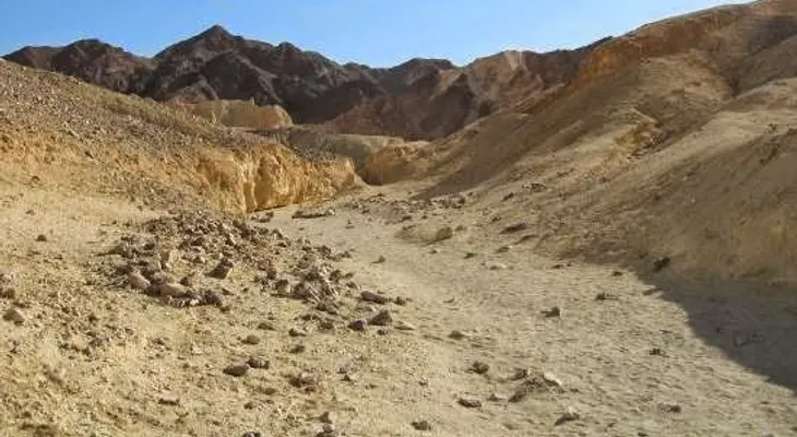Impactante video: Renace el río Zin, en el desierto de Neguev en Israel 