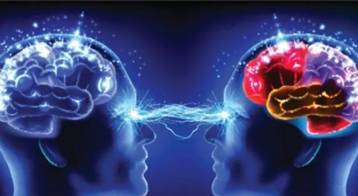 Así actúa la cocaína en el cerebro