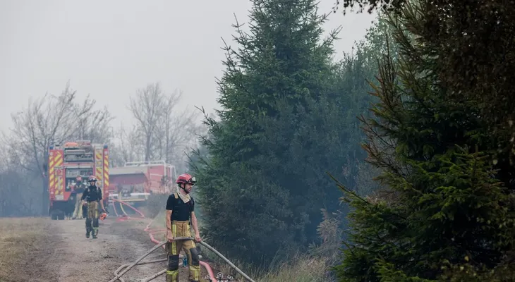 Bélgica combate su mayor incendio forestal histórico en Altas Fens; amenaza con cruzar a Alemania
