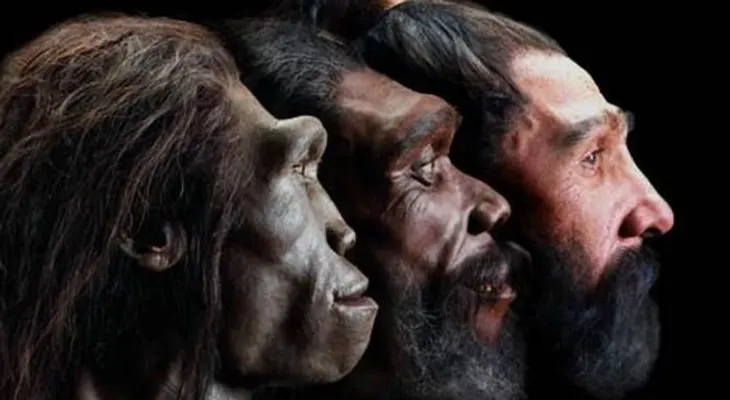 Científicos españoles revelan el origen del rostro humano