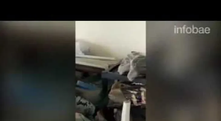 Una cobra real invade su vivienda y vive un aterrador momento 