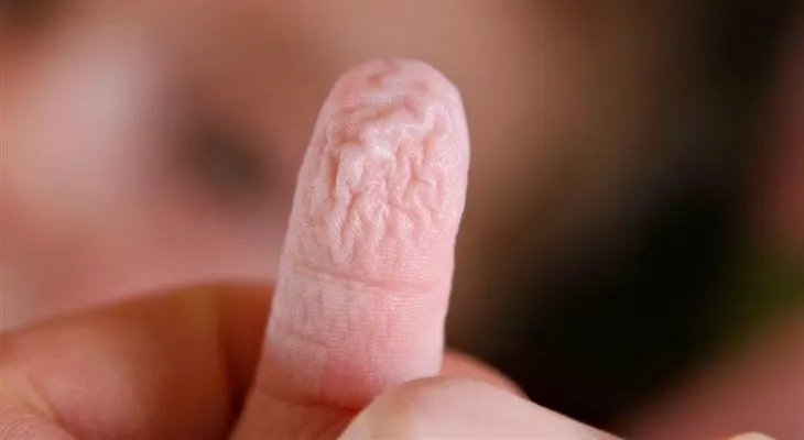 7 detalles que probablemente no sabia 