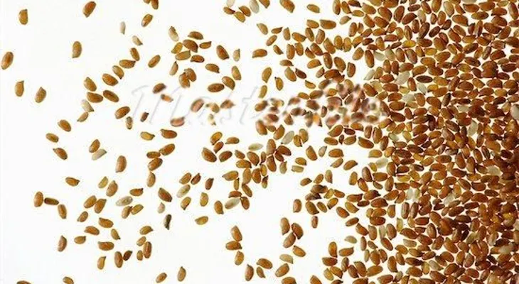 9 Granos sin gluten llenos de nutrientes 