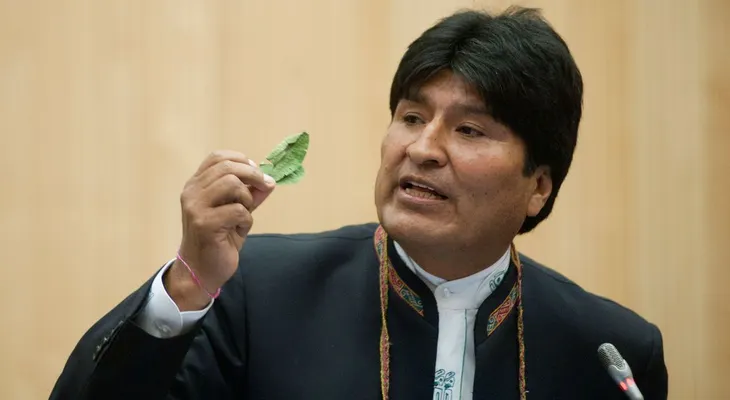 Evo Morales promulga una polémica ley que amplía la superficie de cultivo de coca en Bolivia