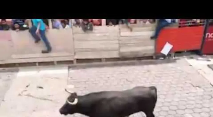 IMAGENES FUERTES: Un toro embiste a un guardia y lo lanza por los aires en Venezuela (VIDEO)