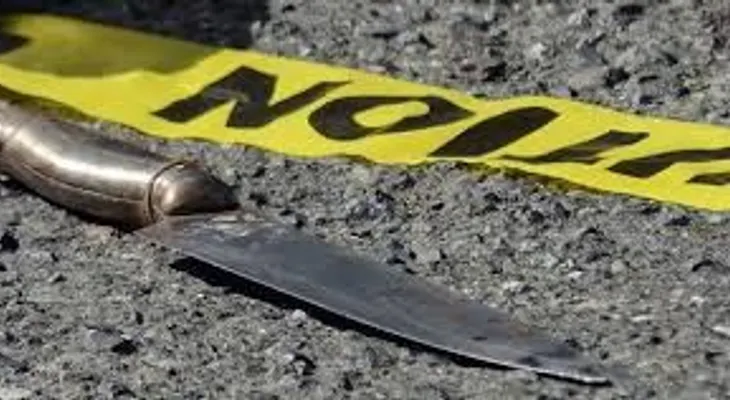 Una mujer confiesa que mató a su marido  y que está enterrado en el jardín 22