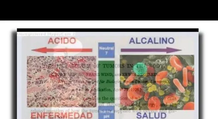 La causa de todas las enfermedades (Video)