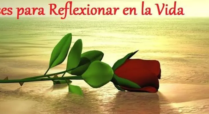 Rosas para el alma: ¡Qué Vida!