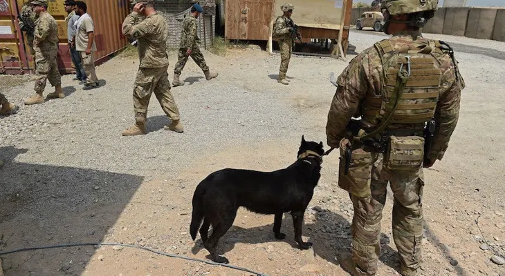 Estados Unidos permitirá a personas transgénero servir en el Ejército