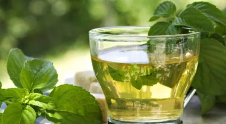 Los sí y los no del té verde