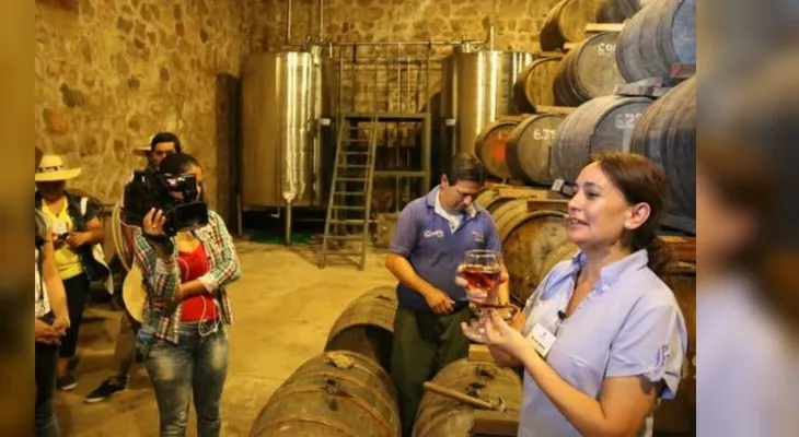 La caña paraguaya quiere ser como el tequila