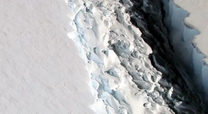 La ruptura de un iceberg desvela un ecosistema oculto durante más de cien mil años