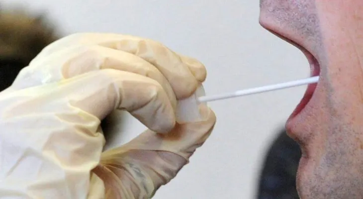 Un estudio desvela cómo se produce la saliva