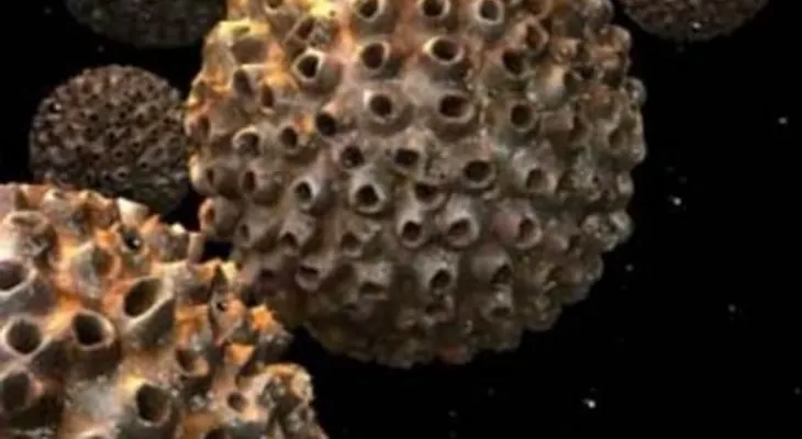 Virus del papiloma humano multiplica riesgo de sufrir cáncer oral