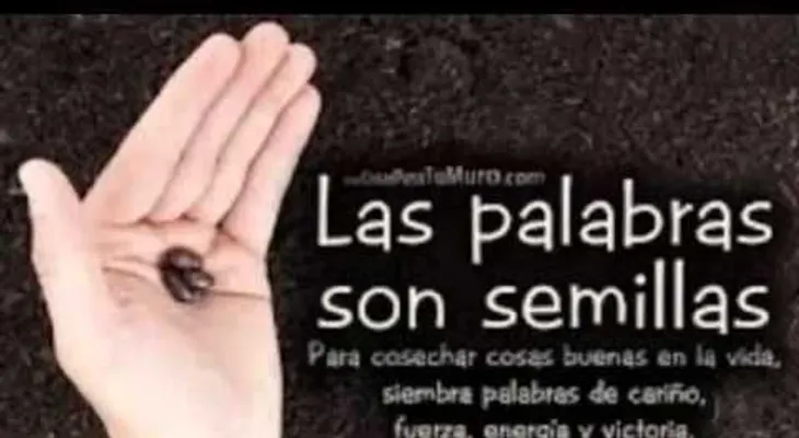 Descubre el poder que tienen tus palabras