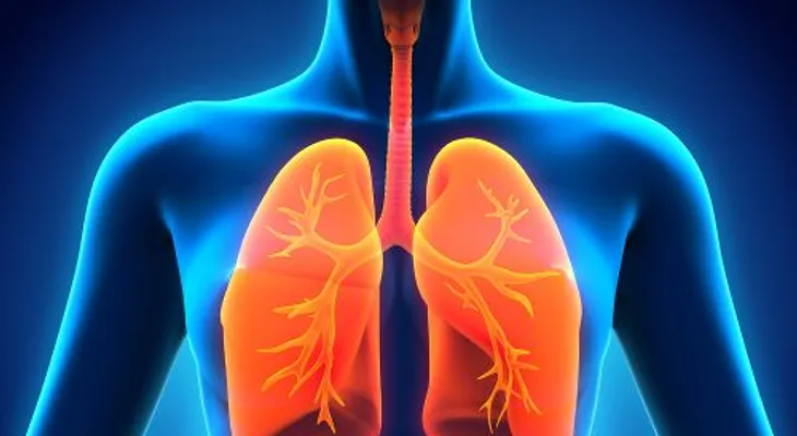Cómo limpiar los pulmones naturalmente