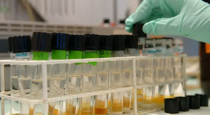 Hacia el fin del cáncer: ¿por qué la lucha contra la enfermedad cambiará en 2016?