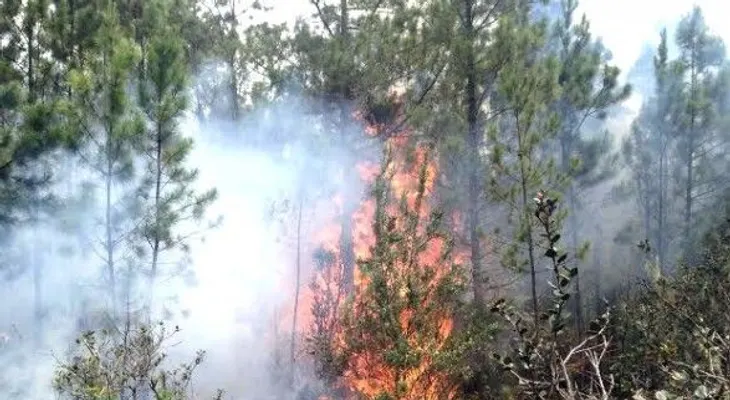 Ministerio advierte falta mucho trabajo para sofocar fuego en Valle Nuevo