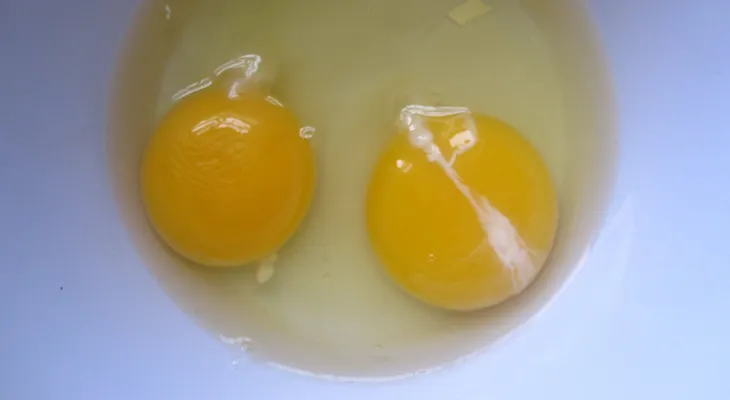 Advertencia: si ves esta fibra blanca en los huevos debes saber algo poco conocido 