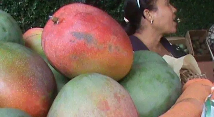 Haití prohíbe entrada de frutas y vegetales de RD