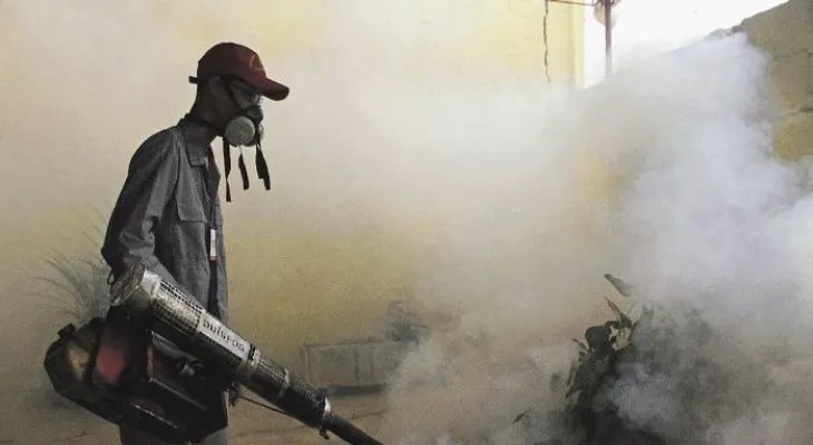 Con hierbas, los zulianos acaban con zancudos para prevenir zika