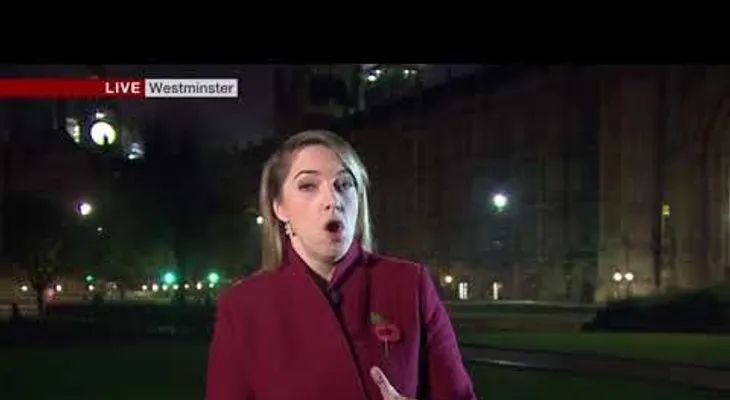 Gritos "sexuales" interrumpen un reportaje político de la BBC