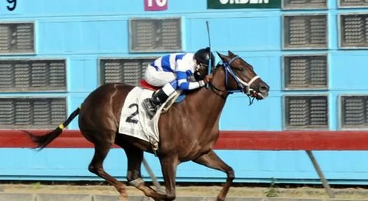 Se corre el sábado el Clásico Ángel Contreras en el hipódromo V Centenario