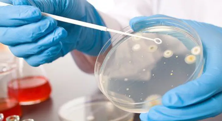 Una proteína de la leche materna podría matar a las bacterias