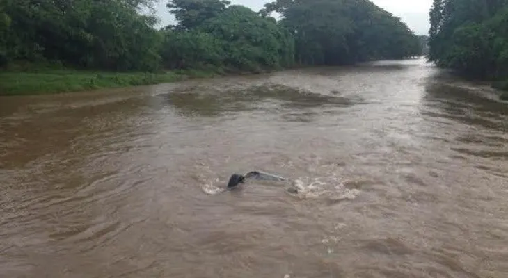 Identifican como Rudy Milchel Nicolás, hombre que murió al caer a río vehículo donde viajaba