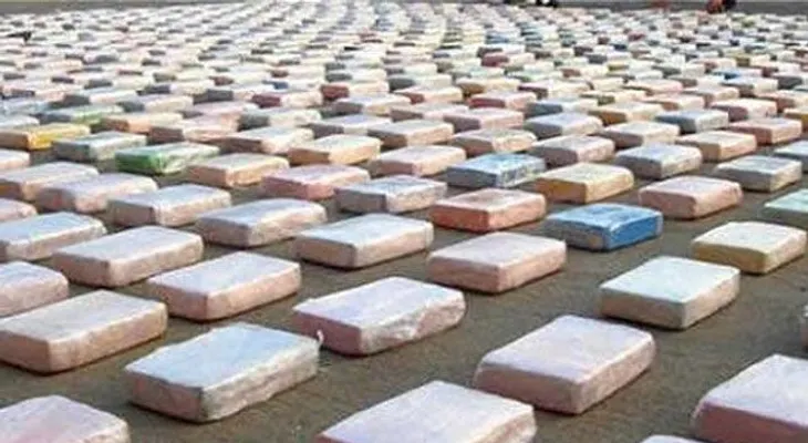 Decomisan 204 kilos de cocaína procedente de R. Dominicana en España