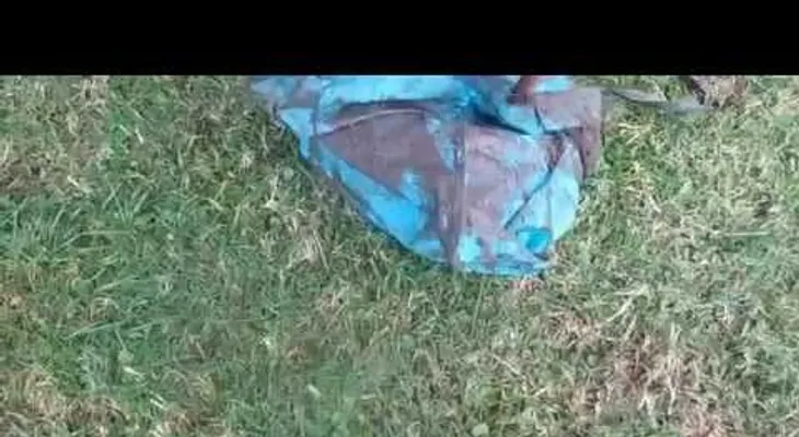 Increíble rescate de dos cachorros atrapados en un desagüe en Uruguay (VIDEO)