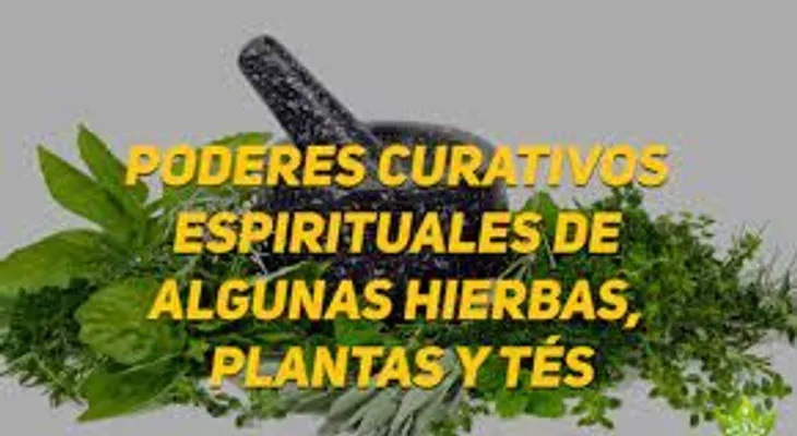 Te curativo y espiritual de jengibre, romero, limón, azafrán, menta...