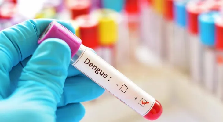 Muertes por dengue suman 46 en Paraguay, pero epidemia remite