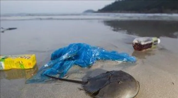 Conferencia alto nivel abordará en Chile contaminación marina y pesca ilegal      