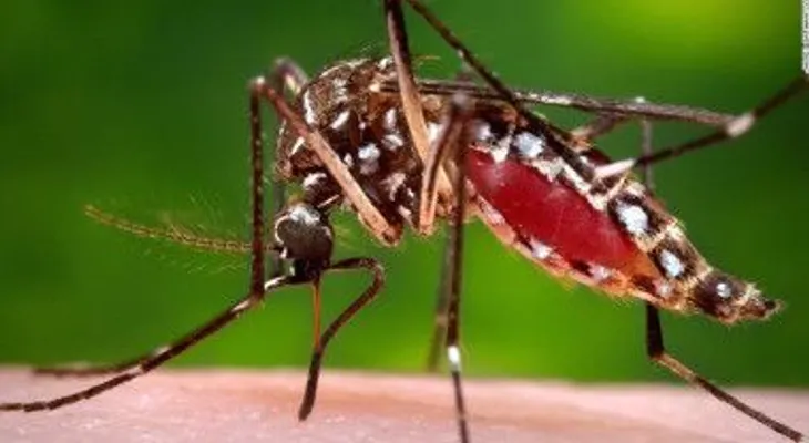 ¿Por qué el gobierno de EE.UU. está fabricando virus letales?