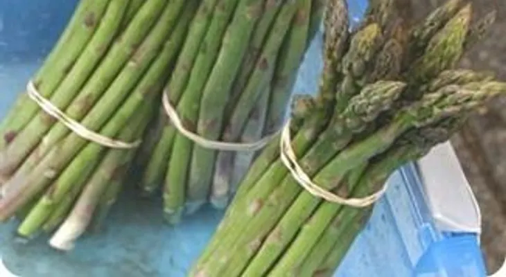 Alimentos beneficiosos para los riñones