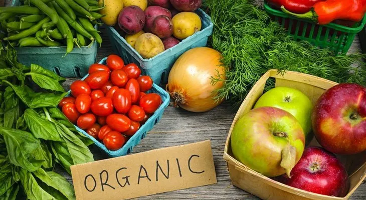 Qué son los alimentos orgánicos 