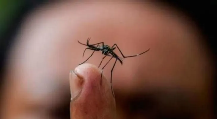 Salud Pública aclara solo un bebé con microcefalia es por Zika en RD
