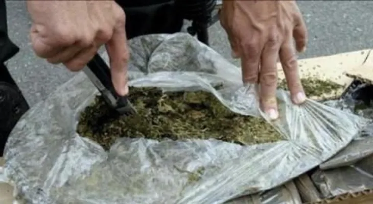 DICAN ocupa 153,841.13 gramos de distintos tipos de drogas