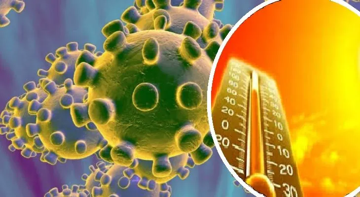 Estudio demuestra que el coronavirus no resiste temperatura de 37 grados. Entonces, está a punto de "morir" 