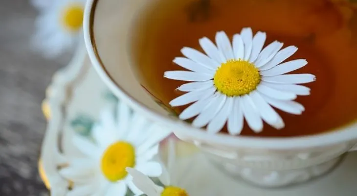 Descubre como eliminar los quistes en los ovarios de forma natural
