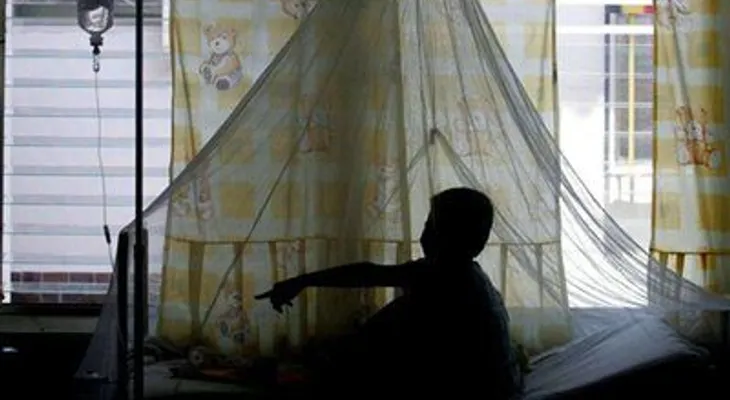 El dengue ha causado este año 29 muertos y 40,000 enfermos en CA