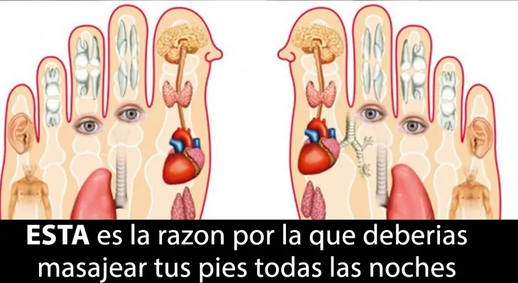 ESTA es la razón por la que debes masajear tus pies antes de irte a dormir? ¡Muy interesante!