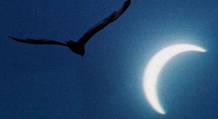 Luna negra: ¿Este viernes se cumple Mateo 24:29 y Lucas 21:25-26? 