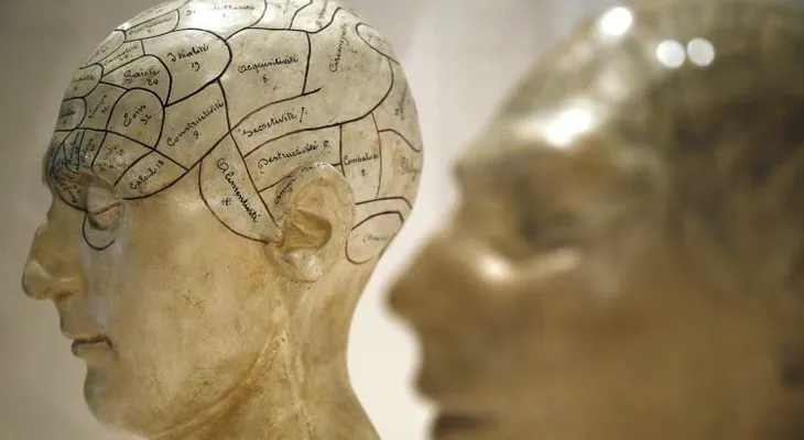 ¿Nada en la vida le da placer?, científicos explican el motivo