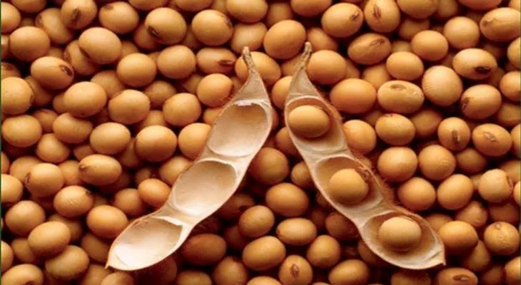 8 argumentos "científicos" para dejar de tomar soya