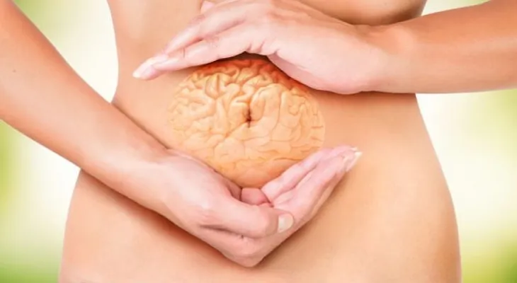 ¿Por qué el intestino es nuestro segundo cerebro?