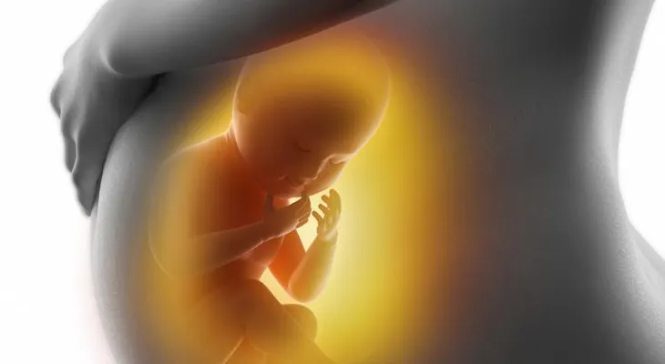 La  maldición de la madre determina cuál es el sexo débil