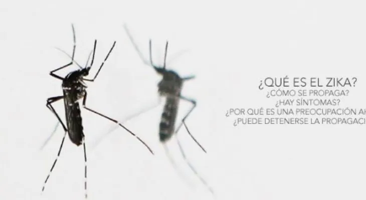 Qué es el zika, síntomas y como se propaga: Preguntas y respuestas 